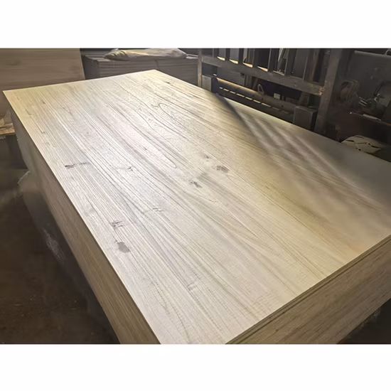 Твердая древесина павловнии, доска для гроба из дерева павловния